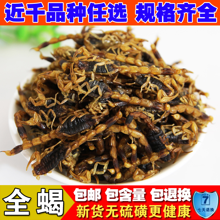 中药材全虫蝎子全蝎干包邮50g沂蒙全蝎