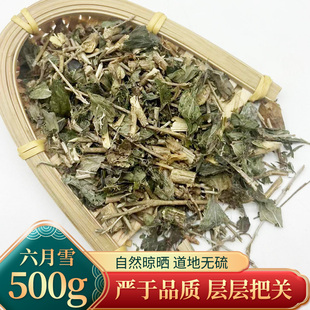 中药材 精选无硫 六月雪 白马骨 路边金 满天星 曲节草 500克包邮