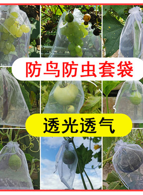 水果套袋防鸟防虫透气专用网袋葡萄无花果枇杷草莓杨桃子保护袋子