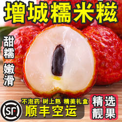 【正宗增城糯米糍荔枝】顺丰空运新鲜当季现发水果甜度高老树大果
