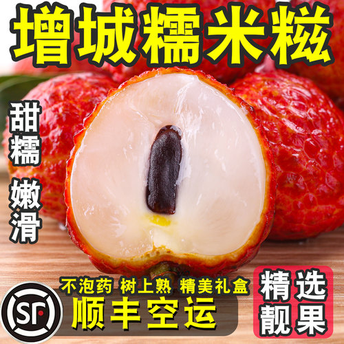 正宗增城糯米糍荔枝新鲜现摘顺丰