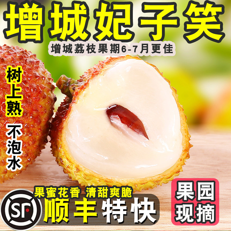 【正宗荔枝妃子笑】当季新鲜现摘现发顺丰特快应季老树大果甜度高