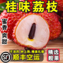 正宗荔枝桂味 增城順豐空運直發(fā)老樹新鮮大果禮盒水果王送禮箱