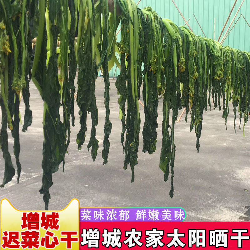 广东增城迟菜心干菜干 26年新其它
