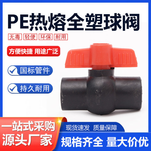 PE全塑球阀4分6分黑色管热熔球阀水管开关pe自来水管配件接头阀门