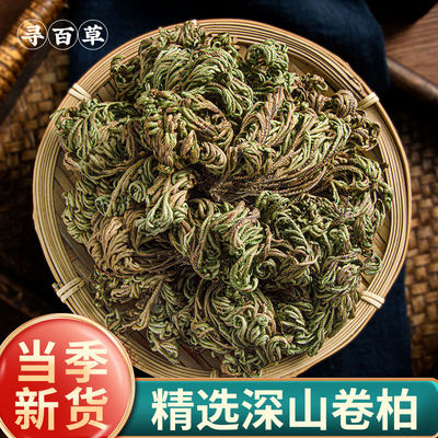 寻百草中药材不死草包邮