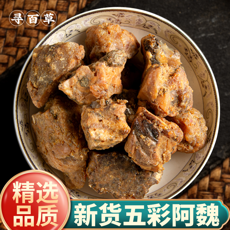 寻百草钓鱼专用臭阿魏