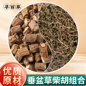 垂盆草柴胡组合中药材正品 500g野生柴胡新货无硫柴胡根泡茶泡水喝