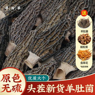 寻百草羊肚菌头茬新货官方正品500g四川特产新鲜大羊肚菌干货炖汤