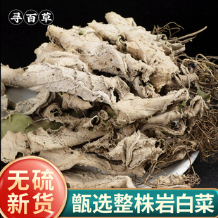 寻百草岩白菜中药材矮白菜呆白菜岩壁菜岩菖蒲岩壁菜石白菜红岩七