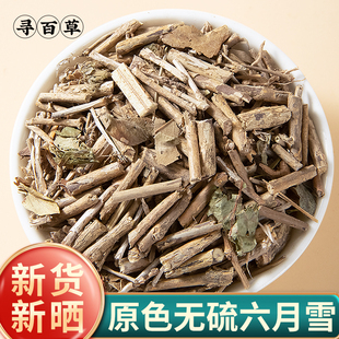 寻百草六月雪中药材500g正品新货白马骨路边金满天星六月雪根无硫