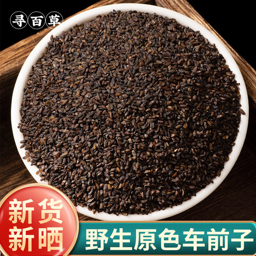 精选野生车前子饱满新货干净无杂