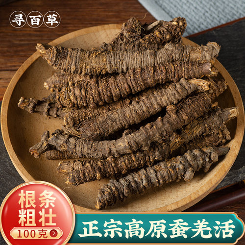 正宗四川高山蚕羌活高品质中药材
