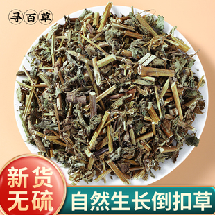 寻百草倒扣草中药材500g野生倒扣草新货粗毛牛膝牛舌大黄土牛膝