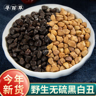 寻百草野生黑丑白丑中药材500g二丑牵牛子新货白牵牛籽粉喇叭花子