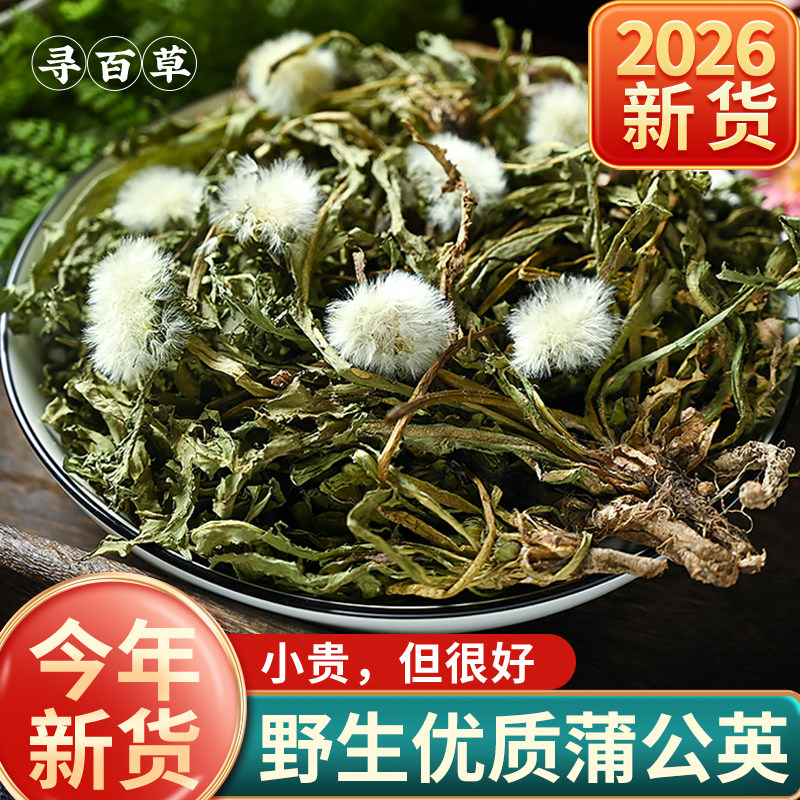 寻百草蒲公英野生整根蒲公英中药材正品优选蒲公英根新鲜浦公英干