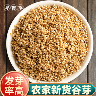 寻百草谷芽中药材正品500g克生谷芽麦芽山楂新鲜干货正品品质