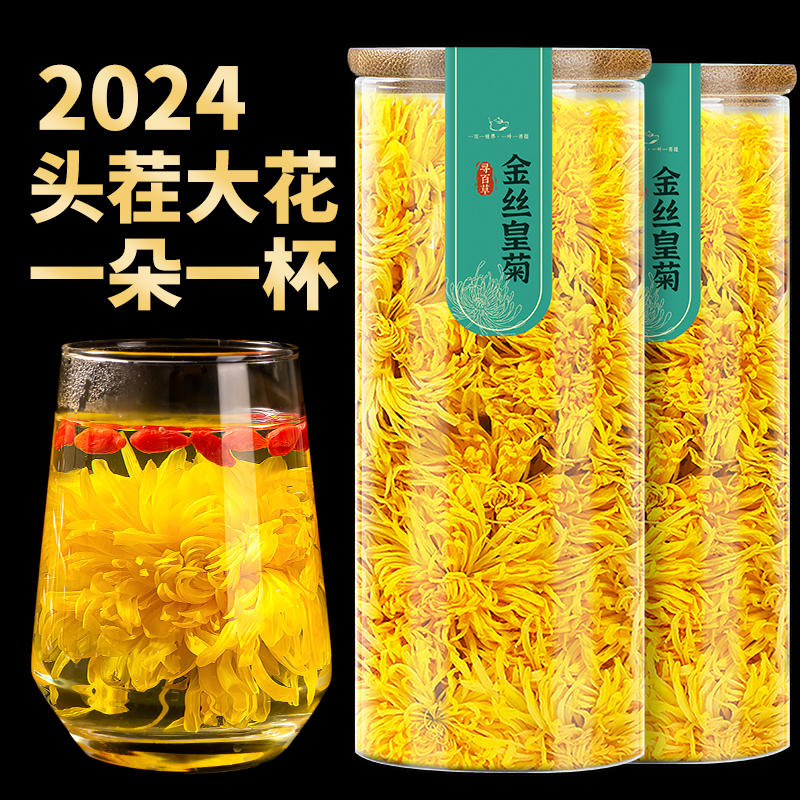 金丝皇菊特级大菊花一朵一杯