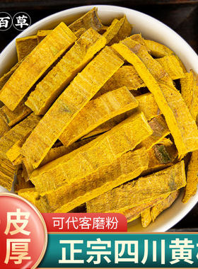 四川野生黄柏皮深山老树