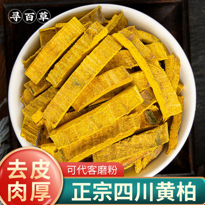 四川野生黄柏皮深山老树