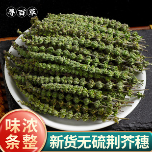 荆芥穗中药材500g野生新货荆芥中药材荆芥粉土荆芥大叶荆芥草线芥