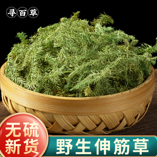 寻百草伸筋草中药材野生正品 生筋草中药泡脚小伸筋草远志益智仁