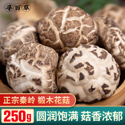 寻百草新鲜干货椴木花菇