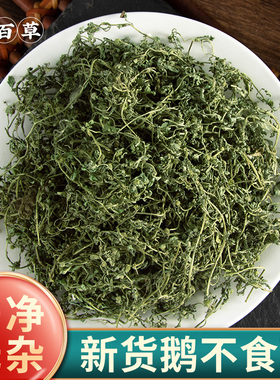 寻百草中药材鹅不食草新鲜鹅不吃草干中药饿不食草500g包邮