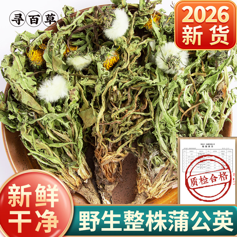 寻百草蒲公英中药材正品500g野生整株蒲公英新蒲公英根夏枯草郁金