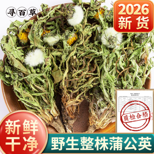 寻百草蒲公英中药材正品500g野生整株蒲公英新蒲公英根夏枯草郁金 - 封面