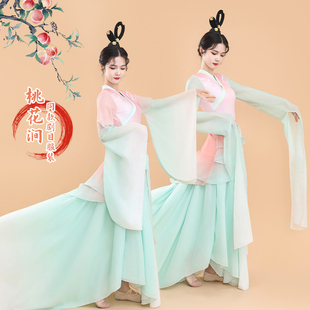古典舞演出服女飘逸纱裙汉服成人练功服中国风水袖 采薇舞蹈服 服装