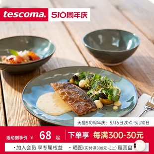 进口家用陶瓷碟子 捷克 tescoma LIVING系列 高级感餐盘