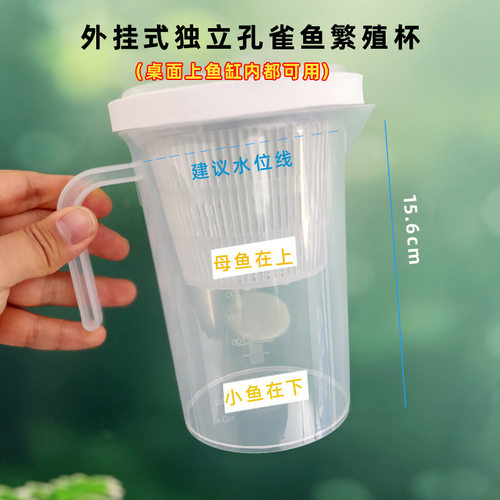 孔雀鱼多功能鱼缸小鱼幼鱼母鱼产房鱼苗式孵化盒罐隔离盒悬浮