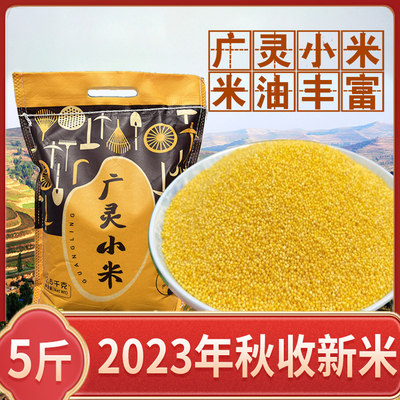 2023年新广灵小米5斤山西特产