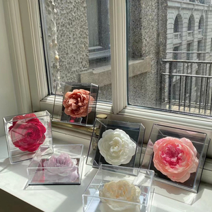 永生花芍药镜面花盒玻璃罩礼盒装摆件母亲节送女友闺蜜纪念礼物