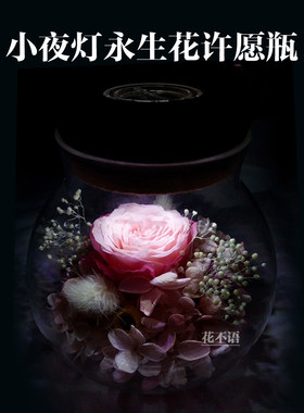 带灯许愿瓶透明进口永生花玫瑰