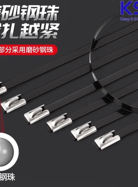 台湾进口 原装凯士士KSS不锈钢烤漆扎带BSTC-127 316SS 100根