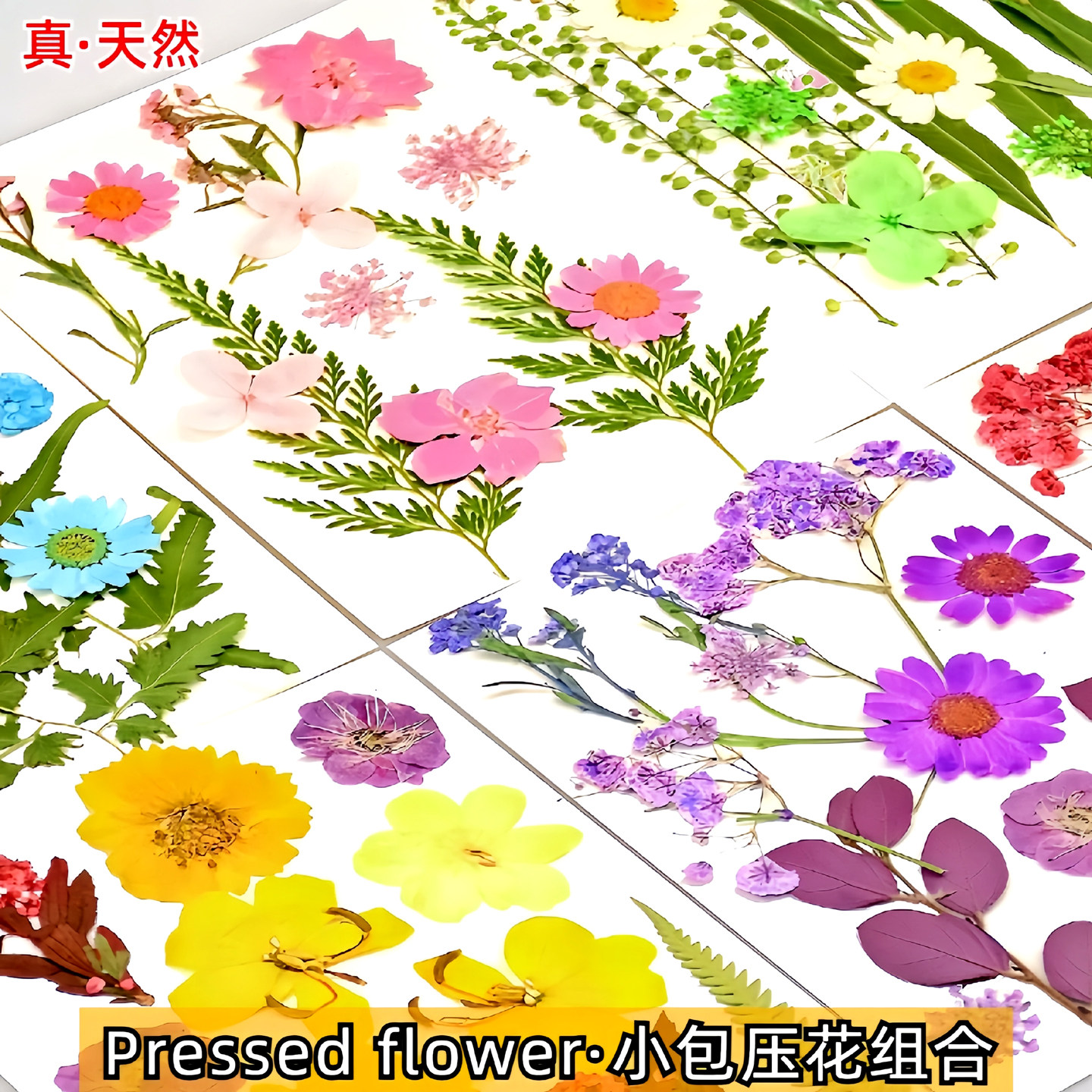 干花diy材料包真树叶植物标本手工相框书签滴胶拼贴画天然压花瓣