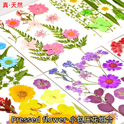 干花diy材料包真树叶植物标本手工相框书签滴胶拼贴画天然压花瓣