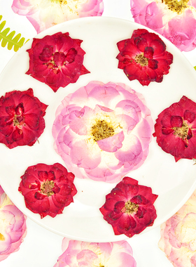 玫瑰月季花植物标本diy干花压花