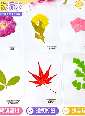 真树叶书签塑封干花过塑植物标本