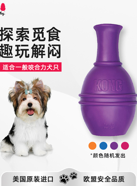 KONG狗漏食玩具磨牙解闷天才达芬奇藏食丰容天然橡胶智力宠物玩具