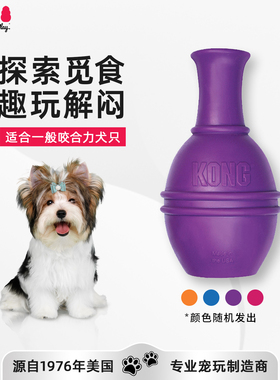 KONG狗漏食玩具磨牙解闷天才达芬奇藏食丰容天然橡胶智力宠物玩具