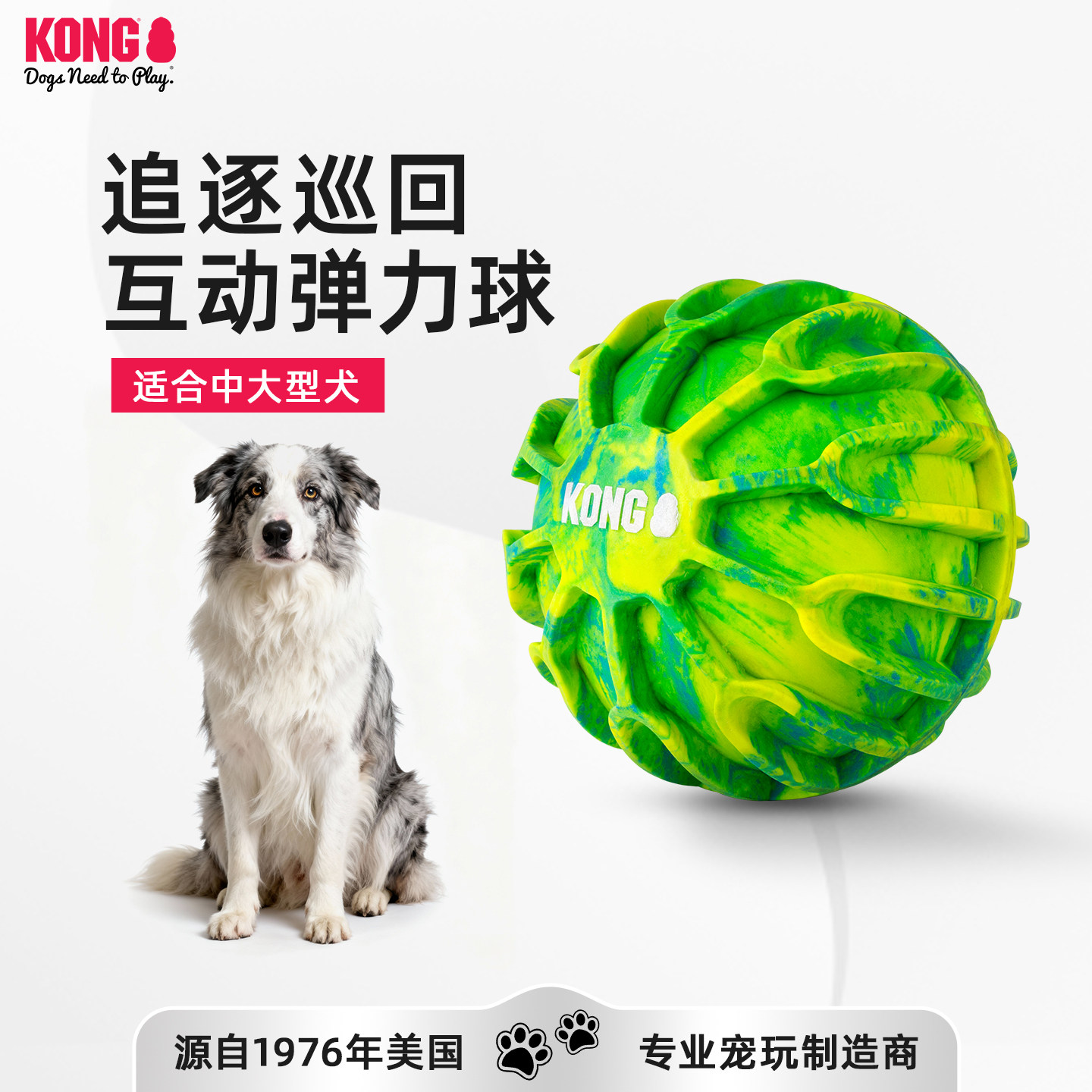 KONG狗玩具弹力球互动户外训练巡回浮水宠物耐咬解闷金毛消耗体力