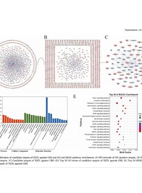 转录组学与数据可视化医学科研基因生物信息学生信分析R语言绘图