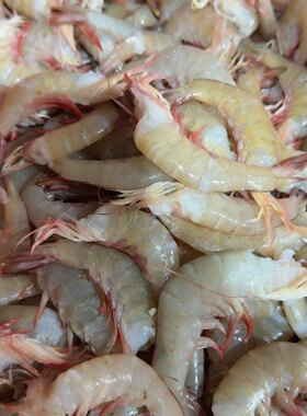 北海海捕(麻虾尾卢虾尾肉质鲜脆好吃)四十五只内一斤五斤138包邮)
