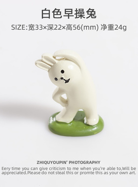 白色做早操兔子摆件树脂迷你工艺桌面微景观装饰品生日礼物
