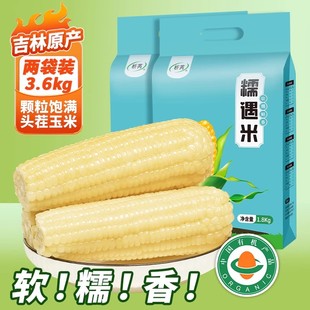 析芮有机甜糯玉米1.8kg/袋*2 (共16根) 白/黄玉米真空礼袋装东北