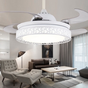 隐形风扇灯吊扇灯一体客厅吸顶带扇吊灯具鸟巢餐厅家用简约现代电