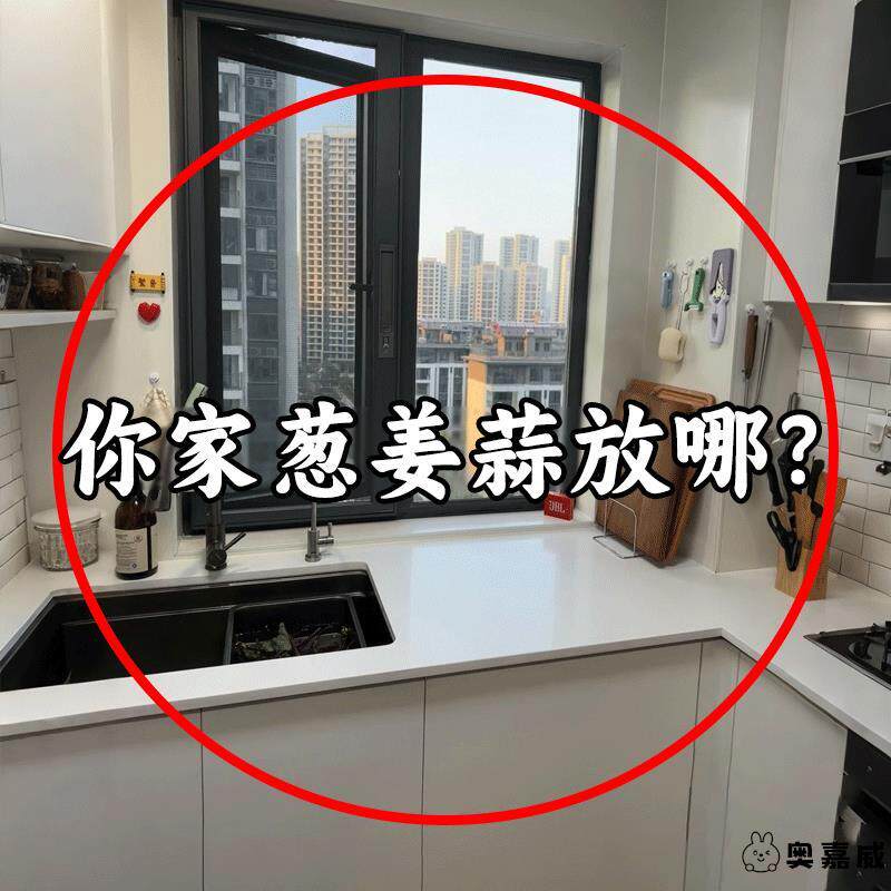 壁挂式收纳筐葱姜蒜厨房收纳盒吸盘置物架生姜大蒜调料免打孔挂篮图片